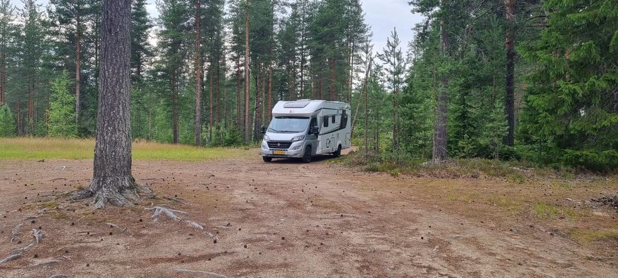 De camper tussen hoge dennenbomen op een open plek in het bos